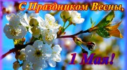 � 1 ���!