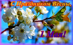 � 1 ���!